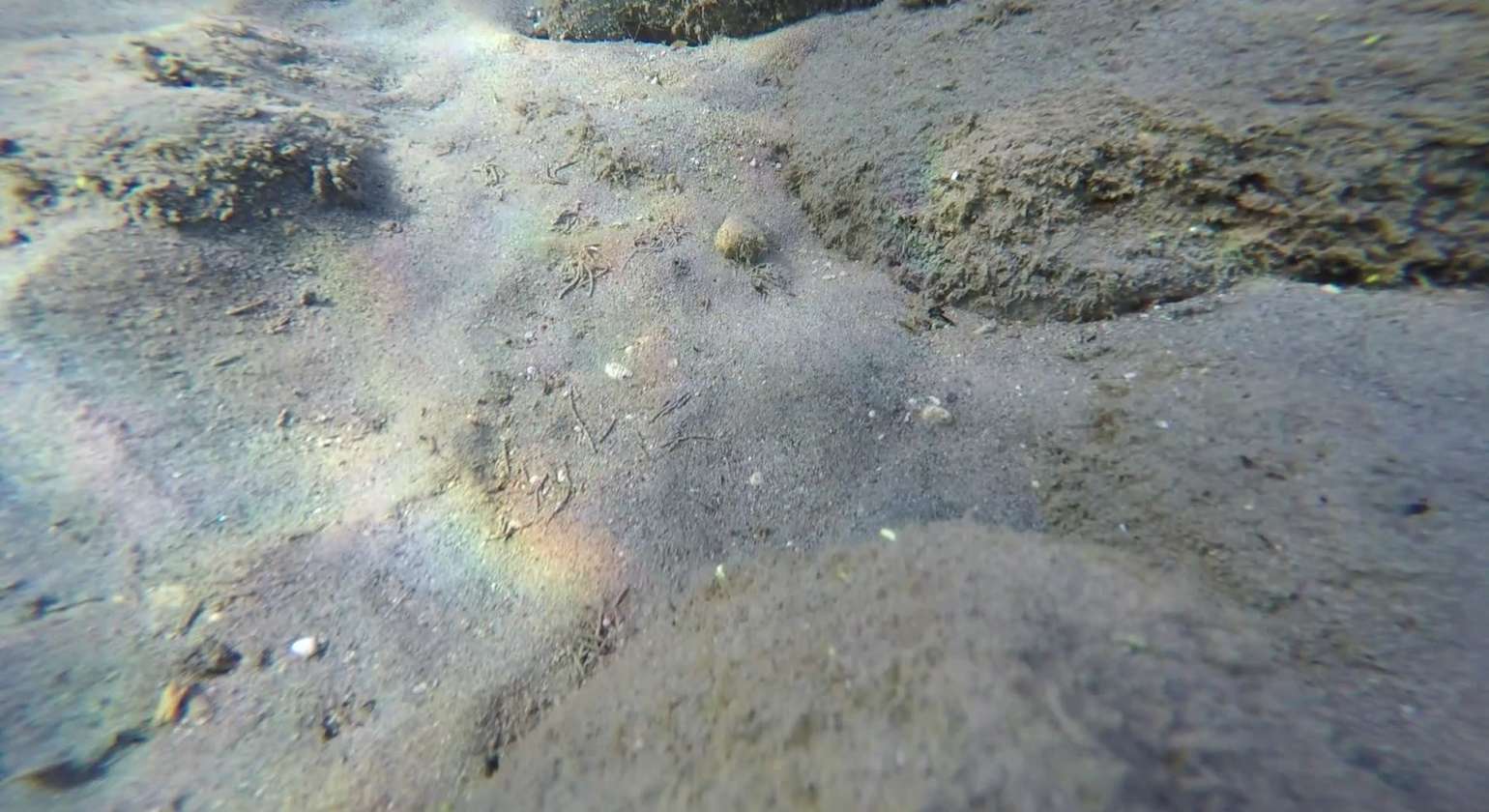 Regarder la vidéo 1