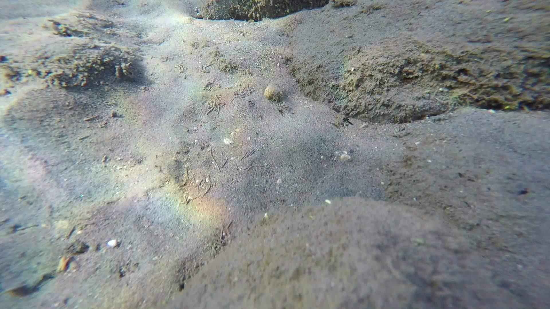 Regarder la vidéo 1