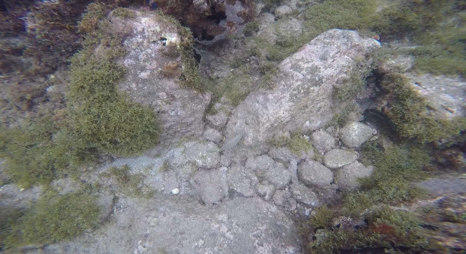 Regarder la vidéo 2