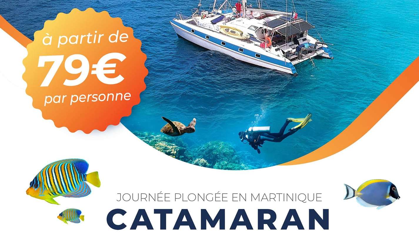 Intéressés ? N’hésitez pas à nous contacter !!!