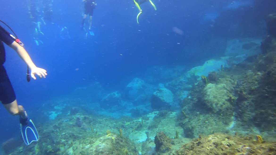 Regarder Baptêmes de plongée avec une belle tortue dès le départ, juste sous le catamaran ATAO Plongée !