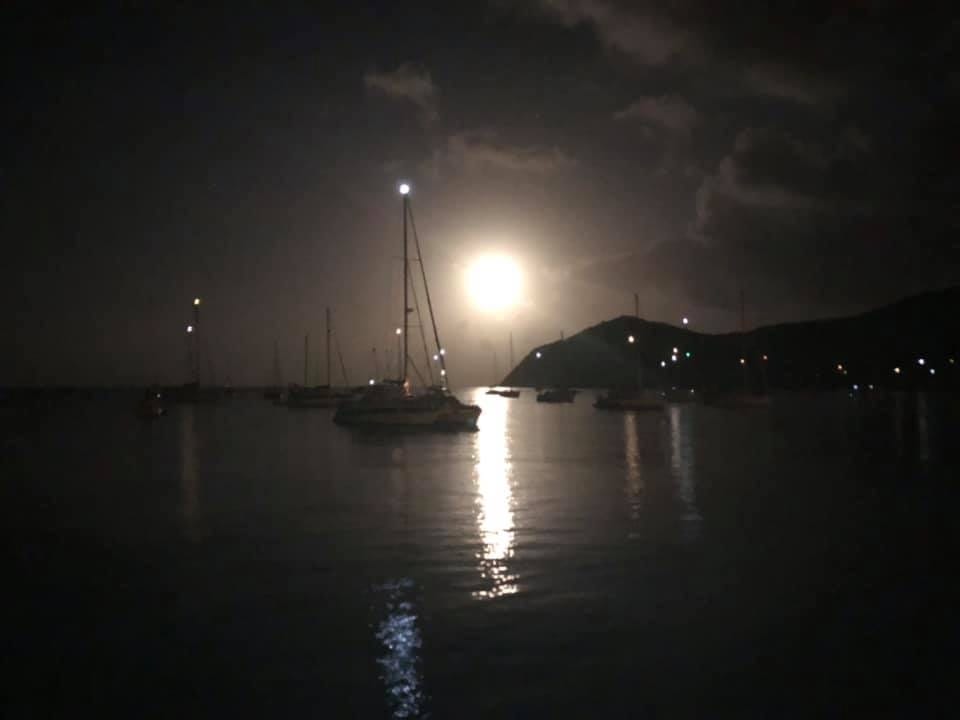 Quand notre voisin de bateau du jour (inconnu jusqu’ici) nous offre la photo de …