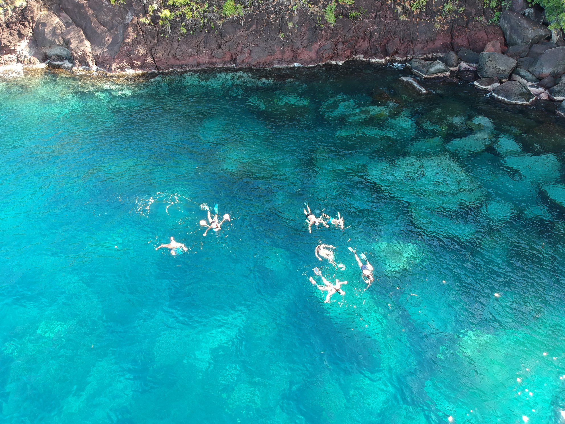 Snorkeling en famille avec les tortues dans les eaux turquoises depuis notre cat…