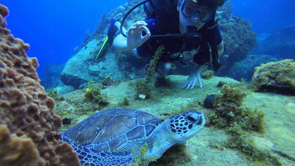 Photo collector : un souvenir de baptême avec Joséphine la tortue…