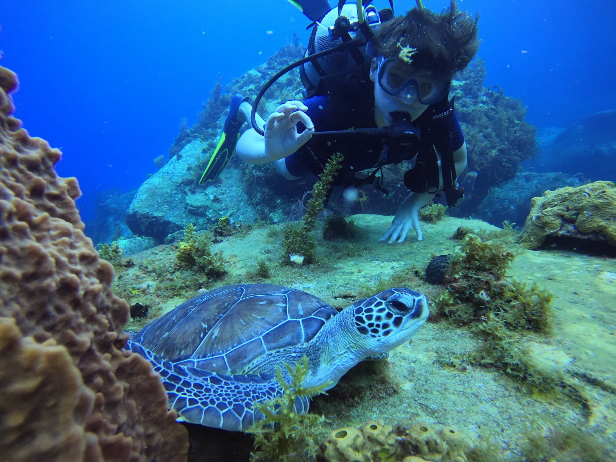 Photo collector : un souvenir de baptême avec Joséphine la tortue…