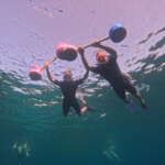 Snorkeling aux Antilles